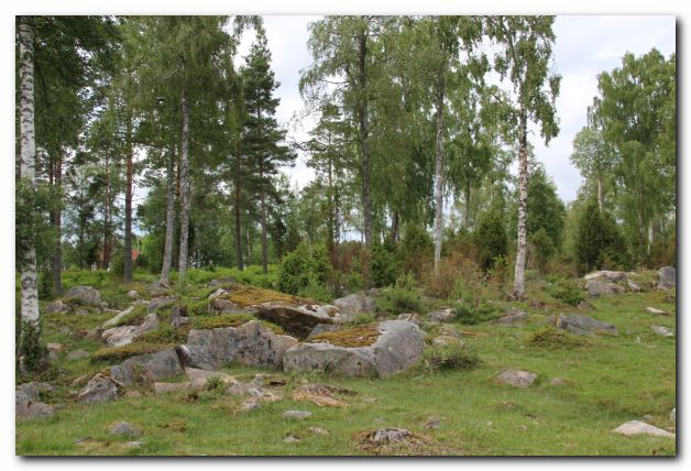 FERIEN IN SCHWEDEN VOM 11. - 25. JUNI 2011