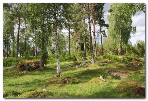 FERIEN IN SCHWEDEN VOM 11. - 25. JUNI 2011