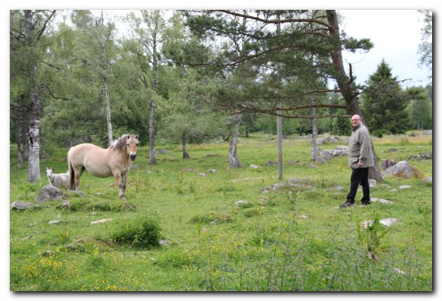 FERIEN IN SCHWEDEN VOM 11. - 25. JUNI 2011