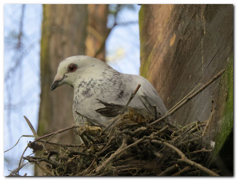 Besuch von Freunden in Ungarn 2014