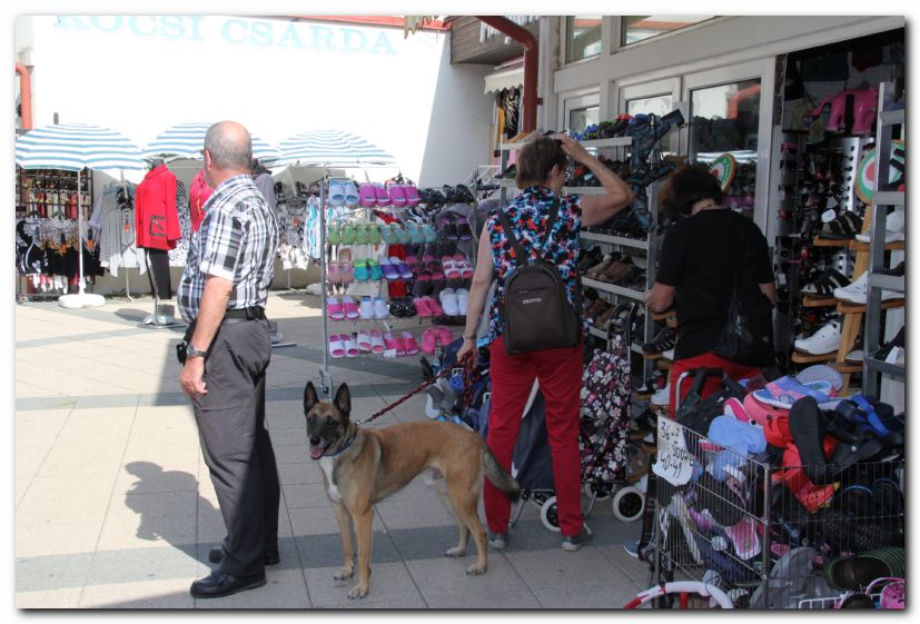 Besuch von Freunden in Ungarn 2015