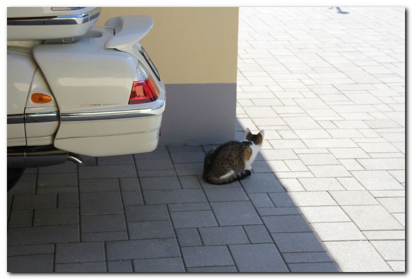 Besuch von Freunden in Ungarn 2015