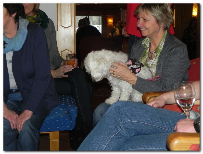 GWCA - JAHRESHAUPTVERSAMMLUNG 14.03.2015 IN WINDISCHGARSTEN